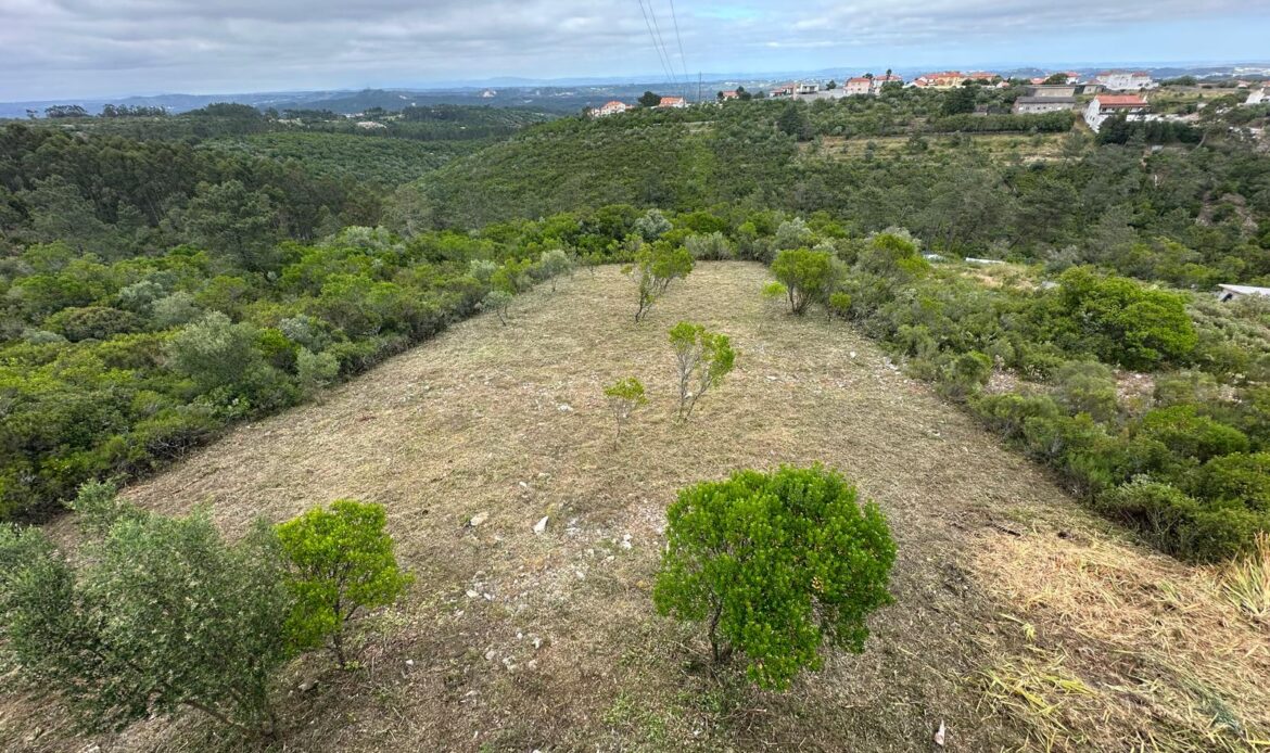 Fazarga - Santa Catarina da Serra - Leiria
