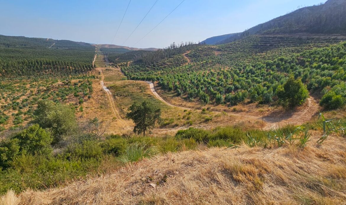 Limpezas Agricolas