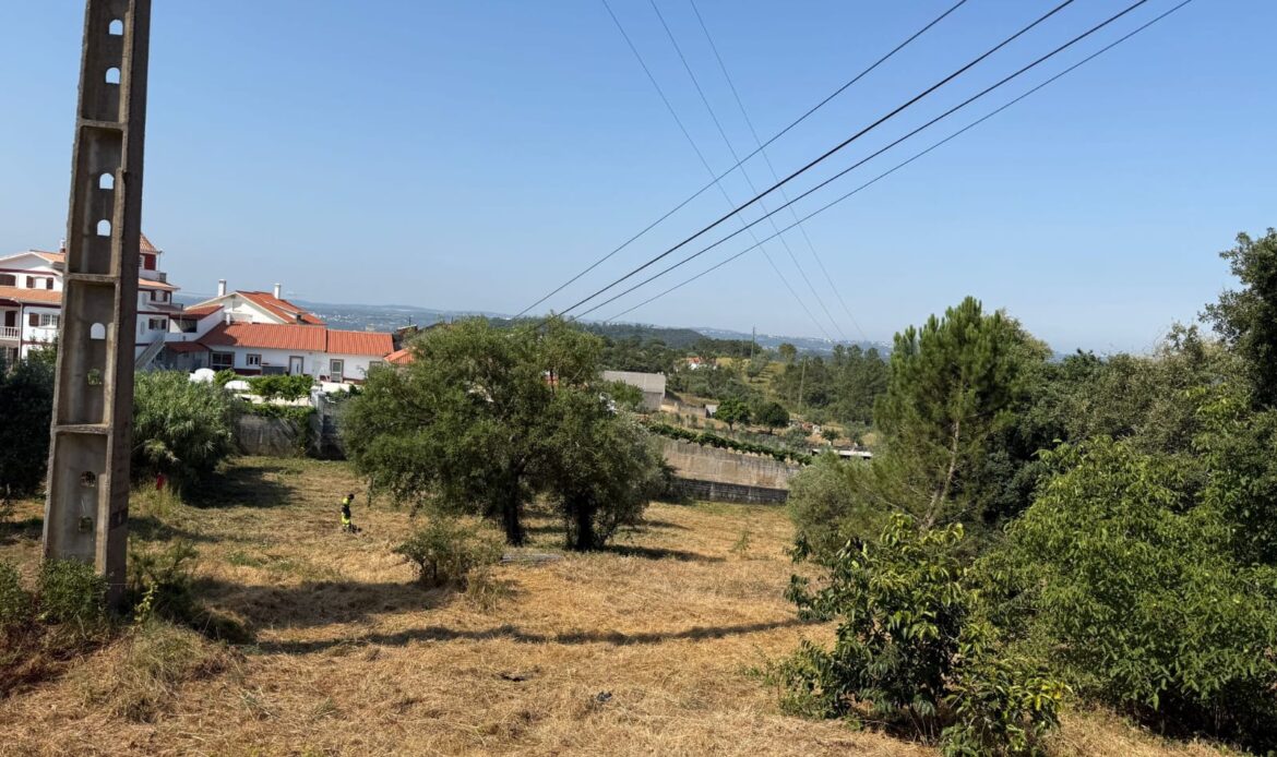 Pinheiro - Ourém