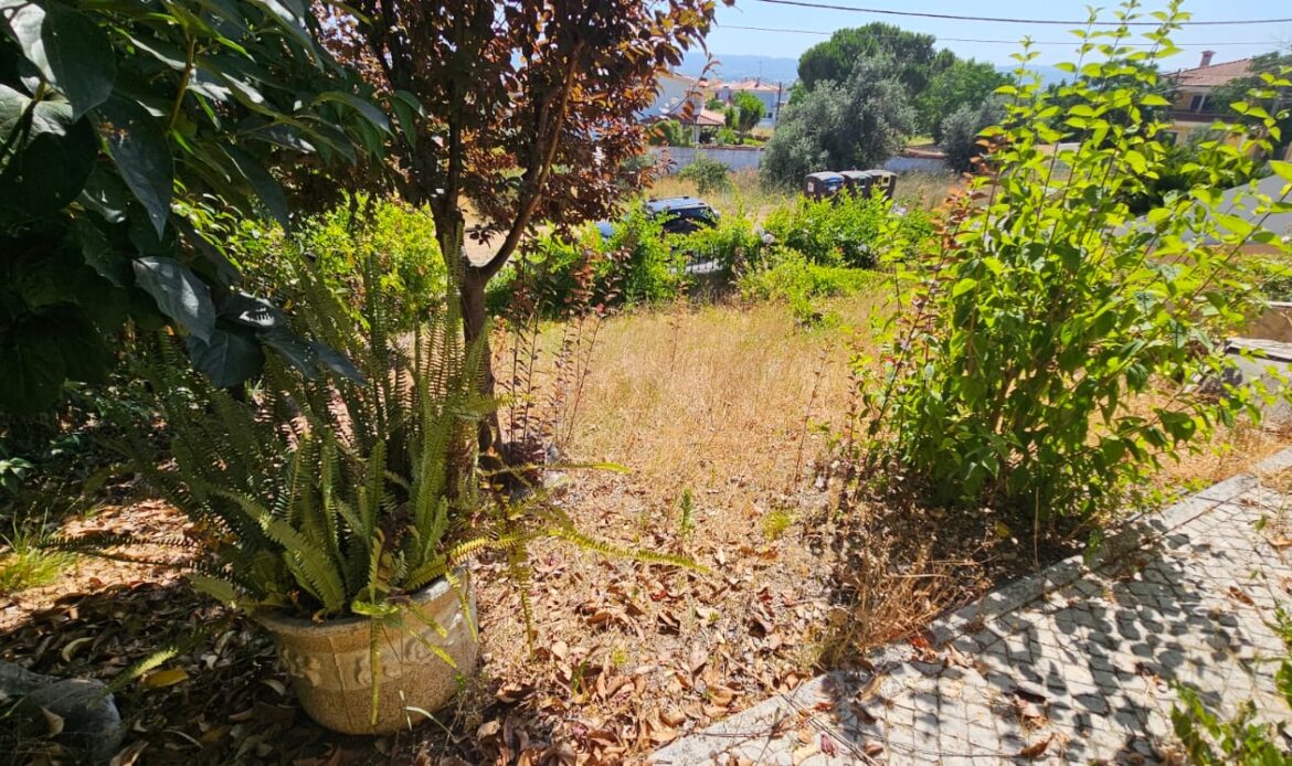 Jardins e Vedações